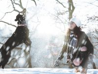 Vinterlekar med din labrador